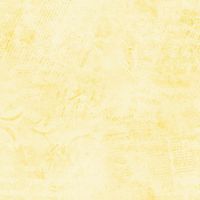 ttJN-CD3838 CORNSILK